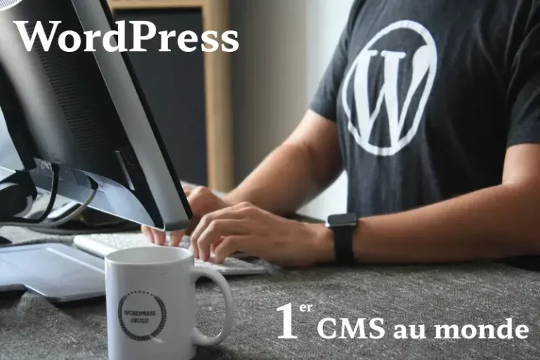 Une personne avec un tshirt WordPress et un mug